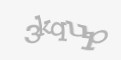 Защитный код